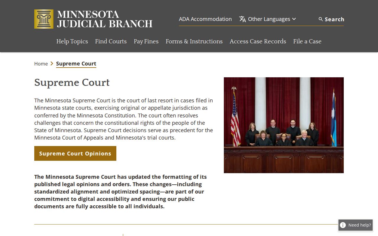 Cook County civil docket Minnesota Supreme Court records hierarchy