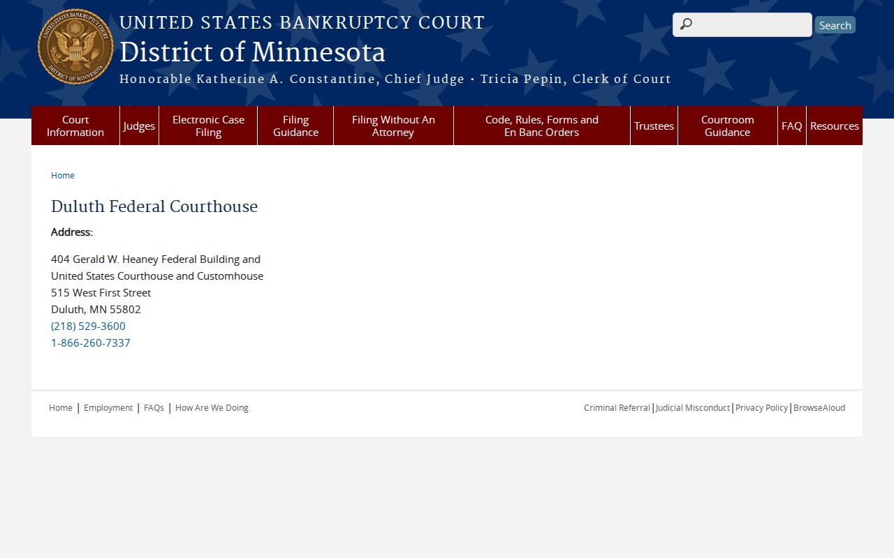 Cook County criminal docket federal Duluth courthouse court records distinction